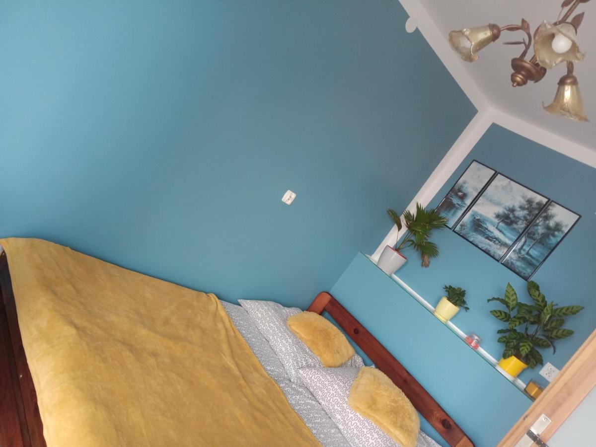 Vila Pod Roza Kasina Wielka Exteriér fotografie